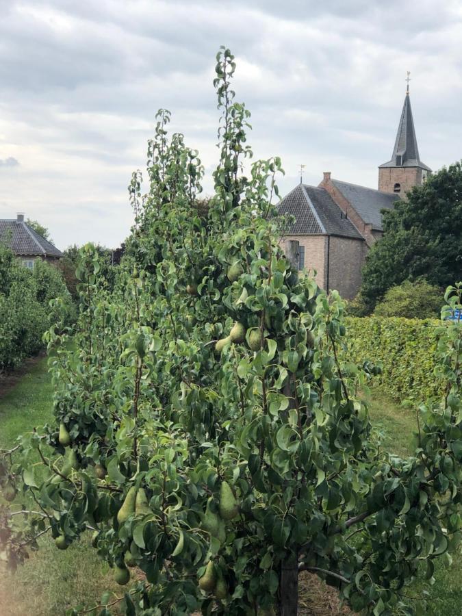 Gastenverblijf Op De Prins Hendrik Hoeve In Buren Buren  외부 사진